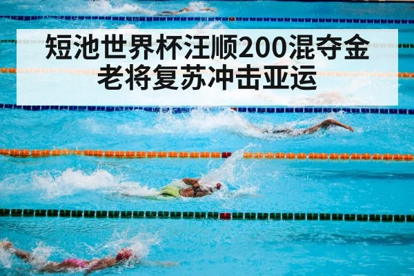 短池世界杯汪顺200混夺金 老将复苏冲击亚运